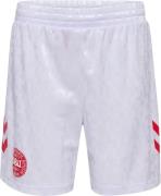 Hummel DBU Danmark 24 Hjemmebaneshorts 128 - T-shirts hos Magasin