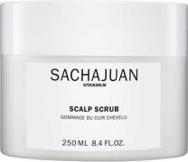 Sachajuan SJ Scalp Scrub 250ml 250 - Balsam hos Magasin