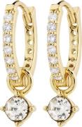 Pilgrim JOA Crystal Hoop Earrings Goldplated one size - Creoler hos Ma...