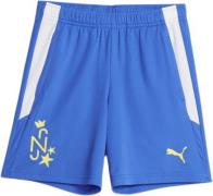 Puma Neymar Jr Instituto Shorts 152 - Træningsshorts hos Magasin