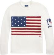 Polo Ralph Lauren Cottonlsl-plo Mand 2wh6 Sweaters Str L - hos Magasin