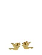 Dove Studs Accessories Jewellery Earrings Studs Gold Edblad