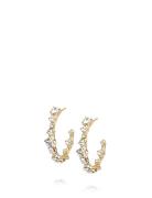 Mini Antonia Gold Accessories Jewellery Earrings Hoops Gold Caroline S...