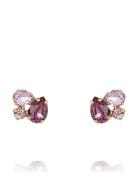 Alisia Earring Gold Accessories Jewellery Earrings Studs Purple Caroli...