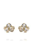 Ana Earrings Gold Accessories Jewellery Earrings Studs Gold Caroline S...