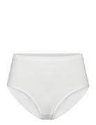 Midi Brief Trusser, Tanga Briefs White Damella Of Sweden