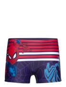 Board Short Swimwear Badeshorts Navy Spider-man