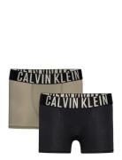 2Pk Trunk Night & Underwear Underwear Underpants Multi/patterned Calvi...