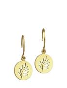 Signature Earring - Gold Ørestickere Smykker Gold Julie Sandlau