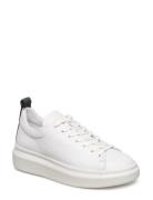 Dee Low-top Sneakers White Pavement