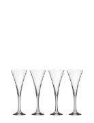 Helena Champagne 25 Cl 4-Pack Home Tableware Glass Champagne Glass Nud...
