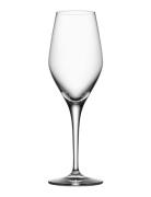 Sense Sparkling 25,5 Cl 6-Pack Home Tableware Glass Champagne Glass Nu...
