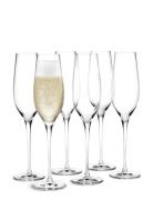 Cabernet Champagneglas 29 Cl 6 Stk. Home Tableware Glass Champagne Gla...