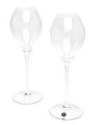 Saga Champagne Glass, 2-Pack Home Tableware Glass Champagne Glass Nude...