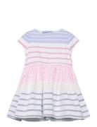 Striped Cotton Oxford Dress & Bloomer Dresses & Skirts Dresses Baby Dr...