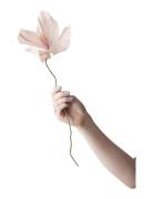 Paper Flower Home Decoration Paper Flowers Pink Studio About