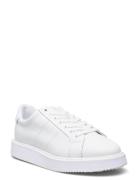 Angeline Iv Action Leather Sneaker Low-top Sneakers White Lauren Ralph...