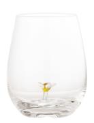 Misa Drinking Glass Home Tableware Glass Drinking Glass Nude Bloomingv...
