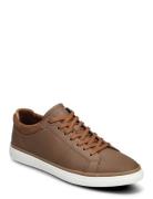 Finespec Low-top Sneakers Brown ALDO