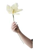 Paper Flower Home Decoration Paper Flowers Yellow Studio About