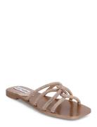 Primal Sandal Flade Sandaler Pink Steve Madden