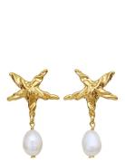Patti Earrings Accessories Jewellery Earrings Studs Gold Maanesten