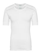 Jbs T-Shirt 2-Pack Organic Tops T-Kortærmet Skjorte White JBS