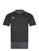 Teamgoal 23 Training Jersey Sport T-Kortærmet Skjorte Black PUMA