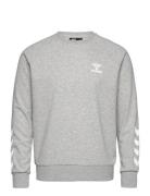 Hmlisam 2.0 Sweatshirt Sport Sweatshirts & Hoodies Sweatshirts Grey Hu...