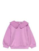 Nmfnanna Ls Swe Bru Tops Sweatshirts & Hoodies Sweatshirts Purple Name...