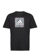 Sport Optimist Sun Logo Sportswear Graphic T-Shirt  Sport T-Kortærmet ...