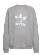 Trefoil Crew Sport Sweatshirts & Hoodies Sweatshirts Grey Adidas Origi...