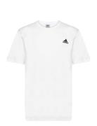 Essentials Single Jersey Embroidered Small Logo T-Shirt Sport T-Kortær...