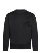 Ck Chenille Crew Neck Tops Sweatshirts & Hoodies Sweatshirts Black Cal...