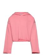 Maddy Tops Sweatshirts & Hoodies Hoodies Pink Molo