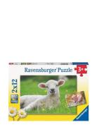 Farm Animals 2X12P Toys Puzzles And Games Puzzles Classic Puzzles Mult...