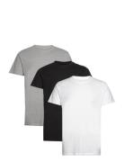 Elon Organic/Recycled 3-Pack T-Shirt Tops T-Kortærmet Skjorte White Kr...