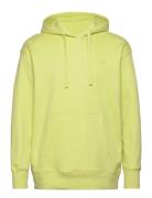 Gant Icon Hoodie Tops Sweatshirts & Hoodies Hoodies Green GANT