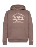 Grf Hoodie Sport Sweatshirts & Hoodies Hoodies Brown Adidas Originals