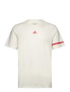 M Bl Col Ss T Sport T-Kortærmet Skjorte Beige Adidas Sportswear