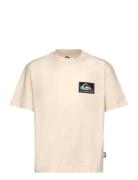 Back Flash Ss Youth Tops T-Kortærmet Skjorte Beige Quiksilver