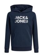 Jjembro Palm Sweat Hood Jnr Tops Sweatshirts & Hoodies Hoodies Navy Ja...