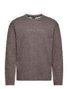 Pw - Pullover Sport Sweatshirts & Hoodies Sweatshirts Brown Calvin Kle...