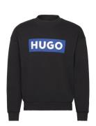 Niero Tops Sweatshirts & Hoodies Sweatshirts Black HUGO BLUE