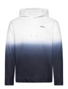 Hco. Guys Sweatshirts Tops Sweatshirts & Hoodies Hoodies White Hollist...