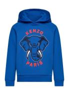 Hooded Sweatshirt Tops Sweatshirts & Hoodies Hoodies Blue Kenzo