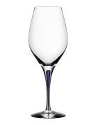 Intermezzo Blue Balance 44Cl  Home Tableware Glass Wine Glass White Wi...