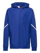 B D4Gmdy Fz Hd Sport Sweatshirts & Hoodies Hoodies Blue Adidas Sportsw...