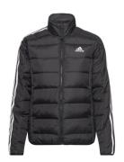 W Ess 3S L D J Sport Jackets Padded Jacket Black Adidas Sportswear