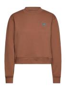 Asmc Reg Sw Sh Sport Sweatshirts & Hoodies Sweatshirts Brown Adidas By...